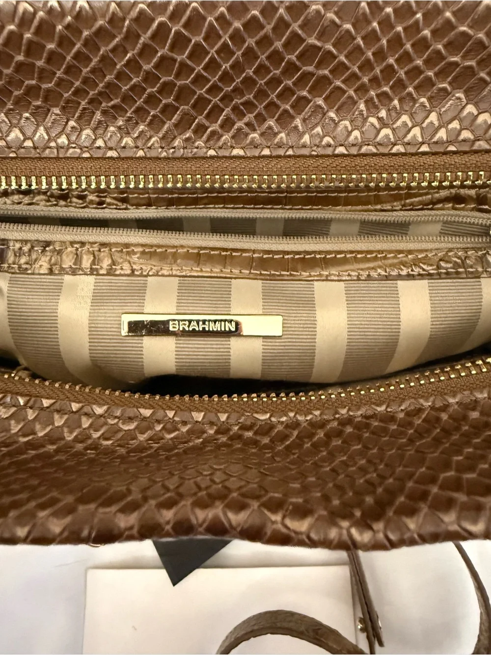 Croc-Embossed Tote in Beige and Brown with Red Trim